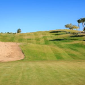 Tee Time